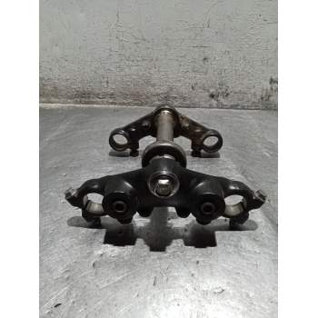 ARAÑA 