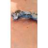 Recambio de puente trasero para seat leon (1m1) 1.9 tdi referencia OEM IAM DISCO/ABS 19TDI 1999