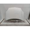Recambio de capot para renault kangoo express (fc0/1_) 1.5 dci (fc07, fc1r) referencia OEM IAM   2003