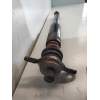 Recambio de amortiguador trasero izquierdo para hyundai i20 classic referencia OEM IAM 55300C8000  