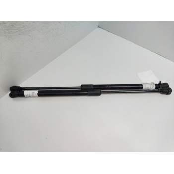 AMORTIGUADORES MALETERO / PORTON 81770C8010 