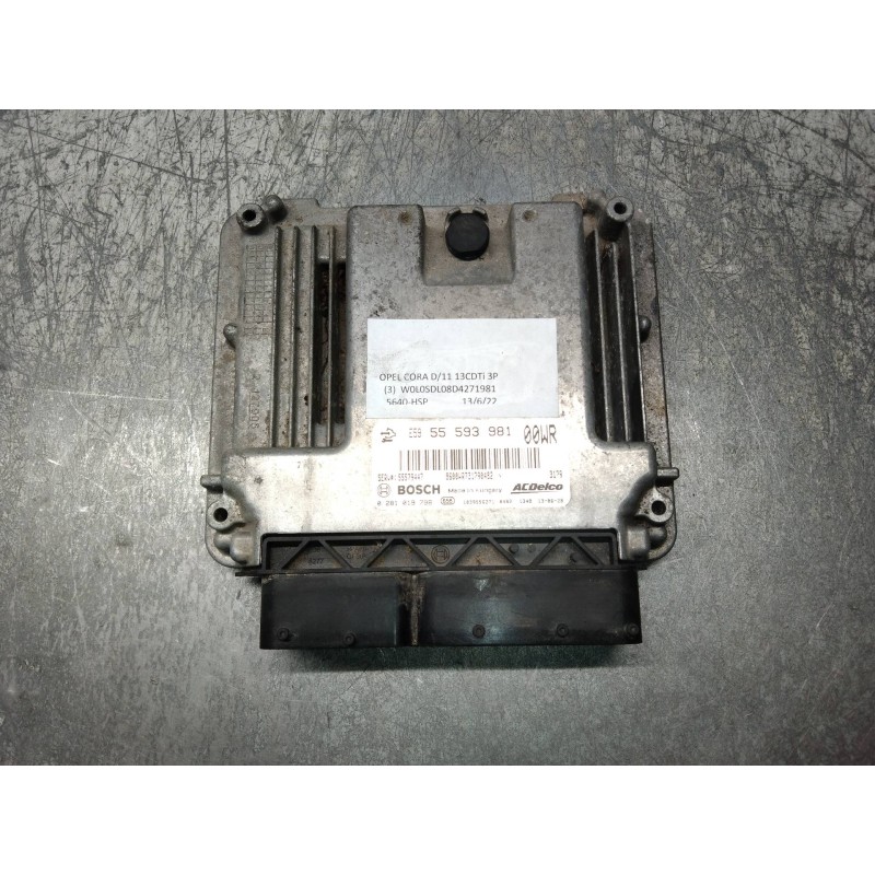 Recambio de centralita motor uce para opel corsa d expression referencia OEM IAM 0281019798 E5955593981 55579447 00WR