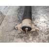 Recambio de amortiguador trasero derecho para ford focus lim. (cb8) titanium referencia OEM IAM BV6118080AAE  