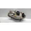 Recambio de faro derecho para smart coupe 0.6 turbo cat referencia OEM IAM   