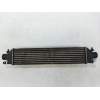 Recambio de intercooler para lancia delta (181) argento referencia OEM IAM   