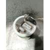Recambio de bomba combustible para citroën saxo (s0, s1) 1.1 x, sx referencia OEM IAM 9637513680  