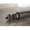 Recambio de amortiguador trasero derecho para lancia delta (181) s referencia OEM IAM 519501040  