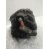 Recambio de alternador para renault clio iii exception 2 referencia OEM IAM 8200654541 12G 2009