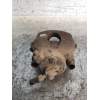 Recambio de pinza freno delantera izquierda para seat leon (1p1) reference referencia OEM IAM   
