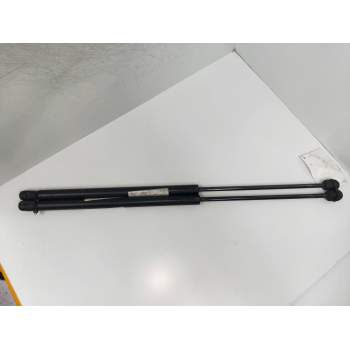 AMORTIGUADORES CAPO 95GB16C826AB 