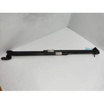 AMORTIGUADORES MALETERO / PORTON 8177005520 