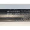 Recambio de amortiguadores capo para hyundai santa fe (sm) 2.0 gls crdi referencia OEM IAM 8116126000  