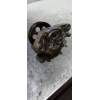 Recambio de bomba direccion para honda civic berlina .5 (ma/mb) 1.6 ls (mb1) referencia OEM IAM   