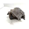 Recambio de pinza freno trasera izquierda para honda prelude (bb1/2/3) 2.2 cat referencia OEM IAM   