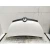 Recambio de capot para renault trafic iii furgoneta (fg_) 1.6 dci 95 (fgmj, fgmr) referencia OEM IAM   2015