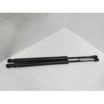 AMORTIGUADORES MALETERO / PORTON 1T0827550H 2001