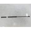 Recambio de amortiguadores capo para seat exeo st (3r5)(2009>) 2.0 tdi referencia OEM IAM 8E0823359A  