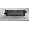 Recambio de intercooler para opel vivaro furgón/combi (07.2006 =>) combi 2.7t l1h1 referencia OEM IAM   