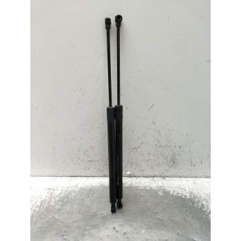 AMORTIGUADORES MALETERO / PORTON 904500004R 2009