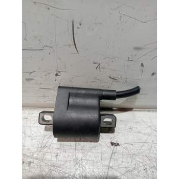 BOBINA ENCENDIDO 125A2221 QJ151151 