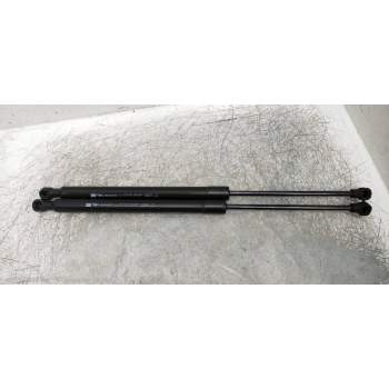 AMORTIGUADORES MALETERO / PORTON 844308661R 12