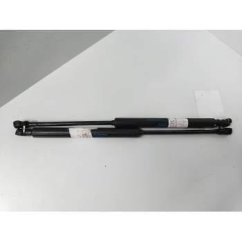 AMORTIGUADORES MALETERO / PORTON 8200385560 