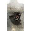 Recambio de mangueta delantera derecha para peugeot 407 coupe pack referencia OEM IAM   