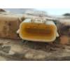 Recambio de bomba combustible para renault clio iv limited referencia OEM IAM 172021275R 202153110913 