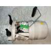 Recambio de bomba combustible para dacia sandero 0.9 tce cat referencia OEM IAM 172021904R 0974752990002 AFORADOR