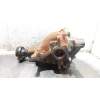 Recambio de diferencial trasero para ford mustang basis referencia OEM IAM 3H31S550I  
