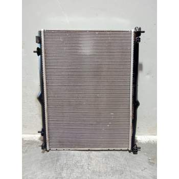 RADIADOR AGUA 12G 2019