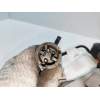 Recambio de elevalunas delantero derecho para jaguar xj6/12 3.6 referencia OEM IAM 680167414000  4P