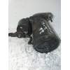 Recambio de motor arranque para seat toledo (1m2) signo referencia OEM IAM   