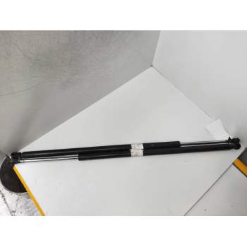AMORTIGUADORES MALETERO / PORTON 8731P5 