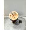 Recambio de bomba combustible para bmw 3 compact (e46) 320 td referencia OEM IAM 6750582 320D 2001