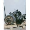 Recambio de motor completo para citroën c1 city edition referencia OEM IAM 1KR 8896539 