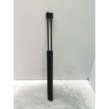AMORTIGUADORES MALETERO / PORTON 8200377199 2003