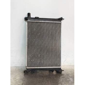 RADIADOR AGUA 253101R 253101RXXX 