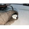 Recambio de elevalunas delantero derecho para mazda premacy (cp) 2.0 turbodiesel cat referencia OEM IAM 8621003883  5P