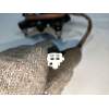 Recambio de elevalunas delantero derecho para mazda premacy (cp) 2.0 turbodiesel cat referencia OEM IAM 8621003883  5P