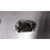 Recambio de faro antiniebla derecho para daewoo nubira berlina 2.0 cat referencia OEM IAM   