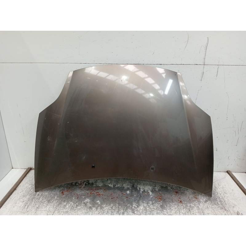 Recambio de capot para fiat bravo ii (198_) 1.9 d multijet (198axc1b) referencia OEM IAM   