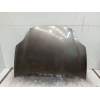 Recambio de capot para fiat bravo ii (198_) 1.9 d multijet (198axc1b) referencia OEM IAM   