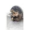 Recambio de mangueta trasera izquierda para peugeot 406 (8b) 2.0 hdi 110 referencia OEM IAM  20HDI 1999