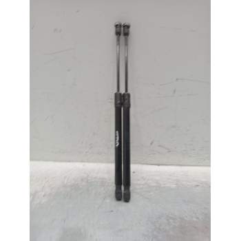 AMORTIGUADORES MALETERO / PORTON 020600f30600n 904510001r 2008