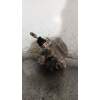 Recambio de abs para toyota auris touring sports (e18) 1.8 16v cat (híbrido) referencia OEM IAM 4721012130  
