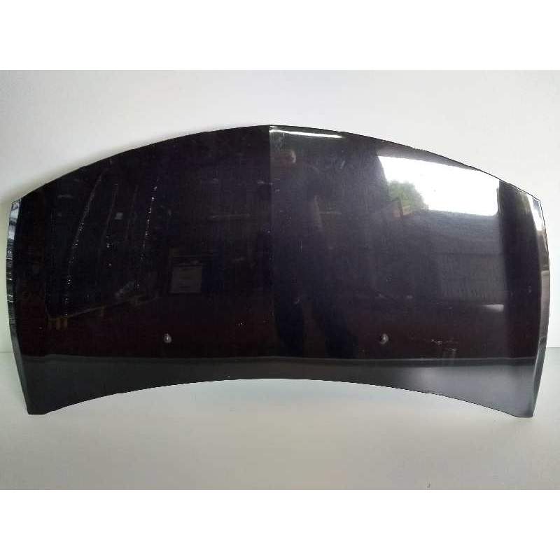 Recambio de capot para renault clio iii exception referencia OEM IAM   2005