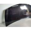 Recambio de capot para renault clio iii exception referencia OEM IAM   2005