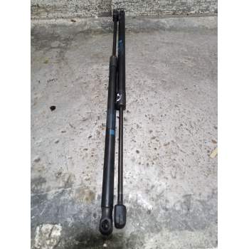 AMORTIGUADORES MALETERO / PORTON Q1A2129800064 290N 2009