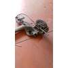 Recambio de puente trasero para alfa romeo mito (955_) 1.4 (955axb1b) referencia OEM IAM DISCO/ABS 14G 2008